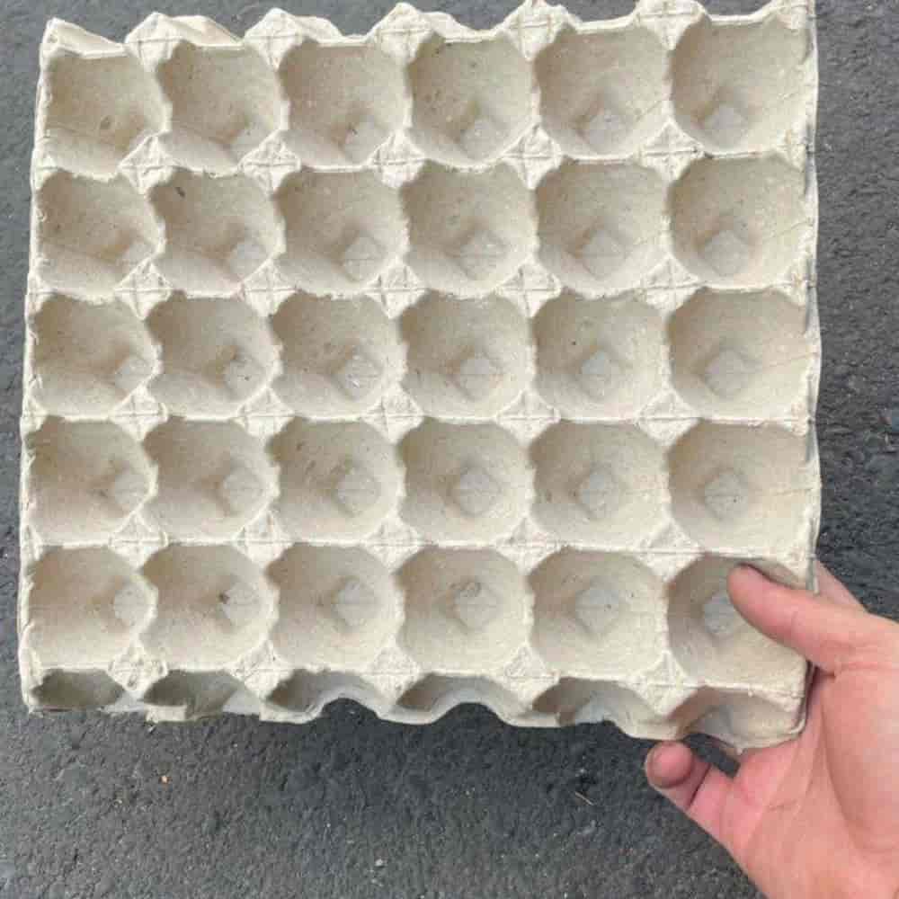 شانه تخم مرغ ۲۴ پندی