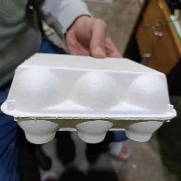 شانه تخم مرغ کاغذی درب دار ۶ تایی