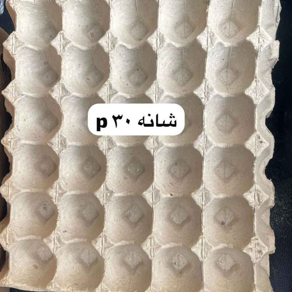 شانه تخم مرغ 30 p