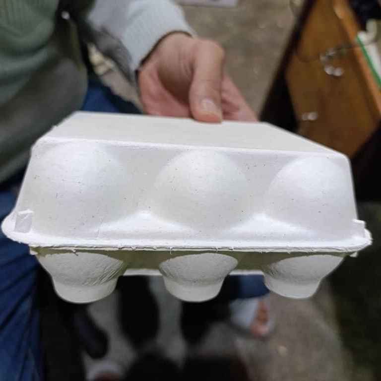 شانه تخم مرغ کاغذی درب دار ۶ تایی