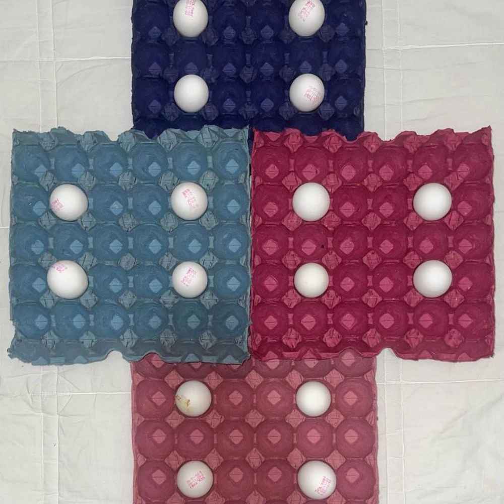 شانه تخم مرغ رنگی