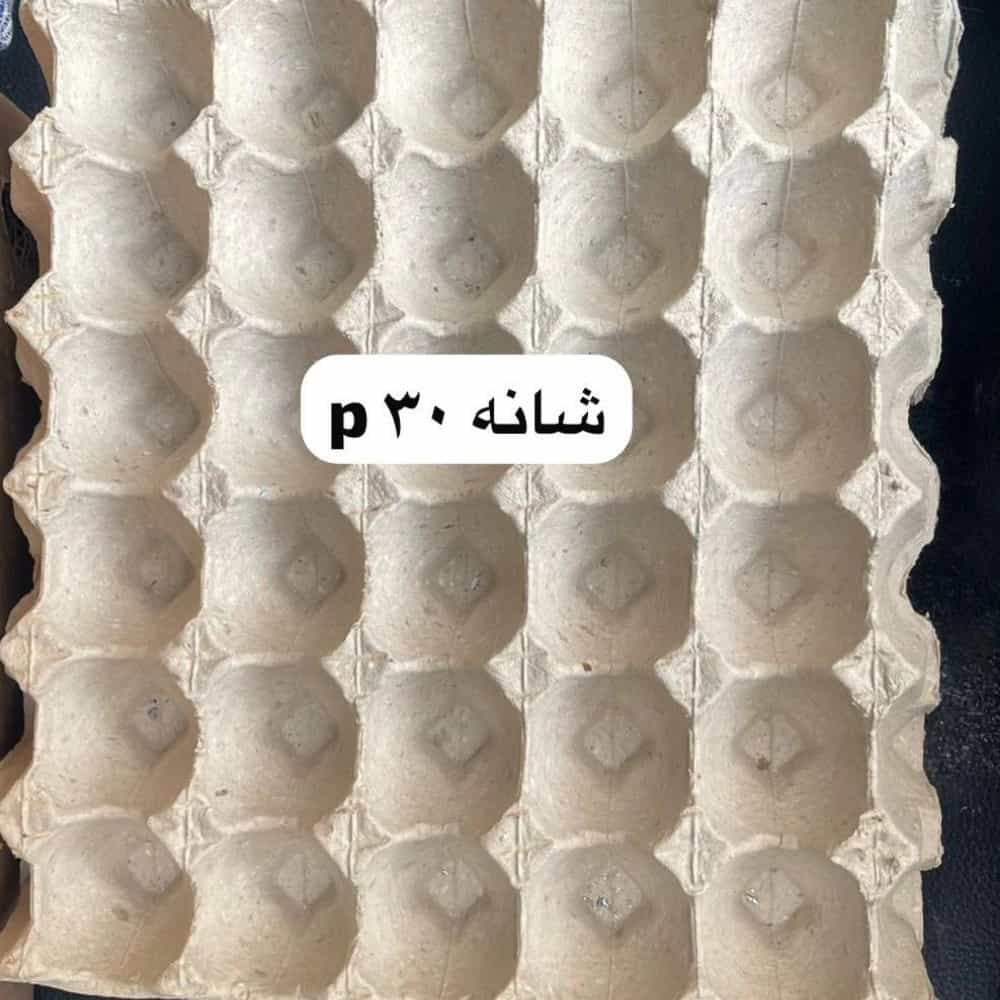 1739427024925.webp