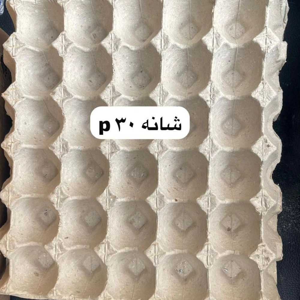 1739427024925.webp