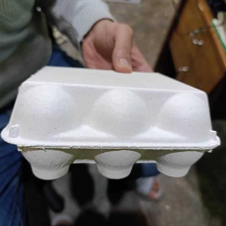 1744708087956.webp 1744708087956.webp