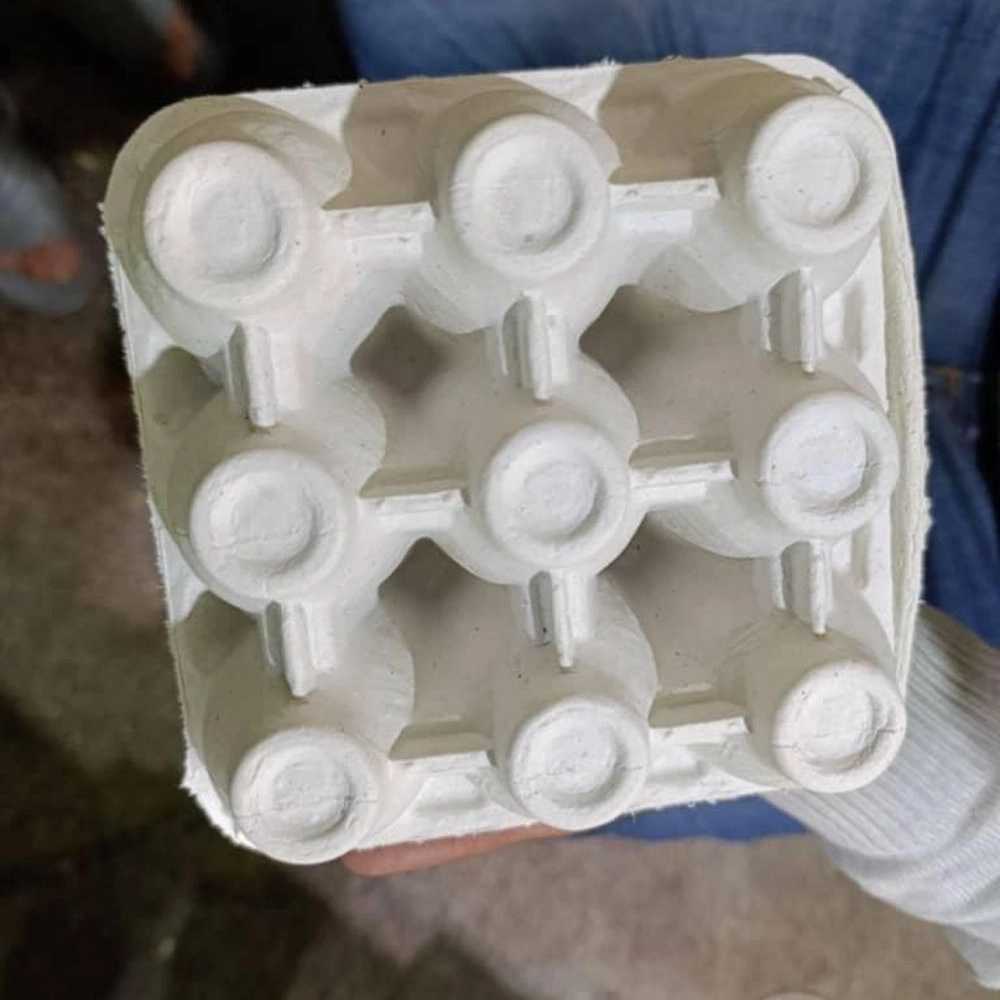 1744708220678.webp 1744708220678.webp