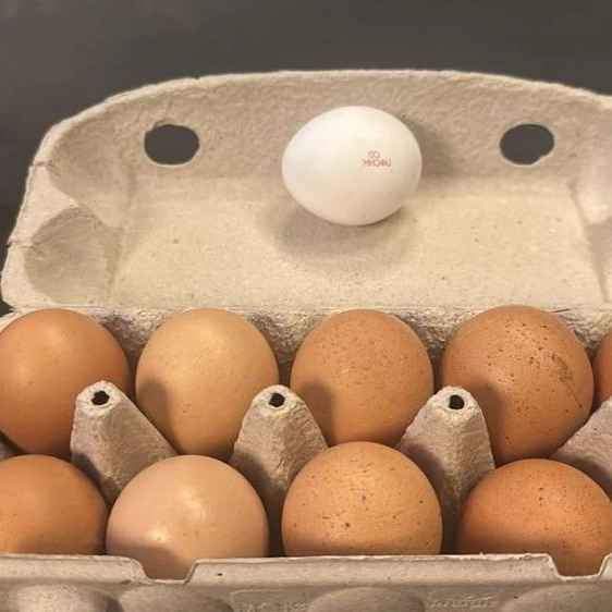 1744708245826.webp 1744708245826.webp