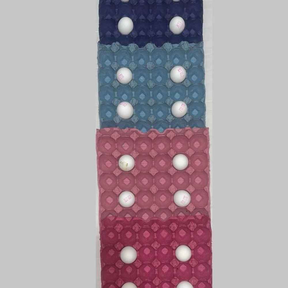 1745658231341.webp 1745658231341.webp