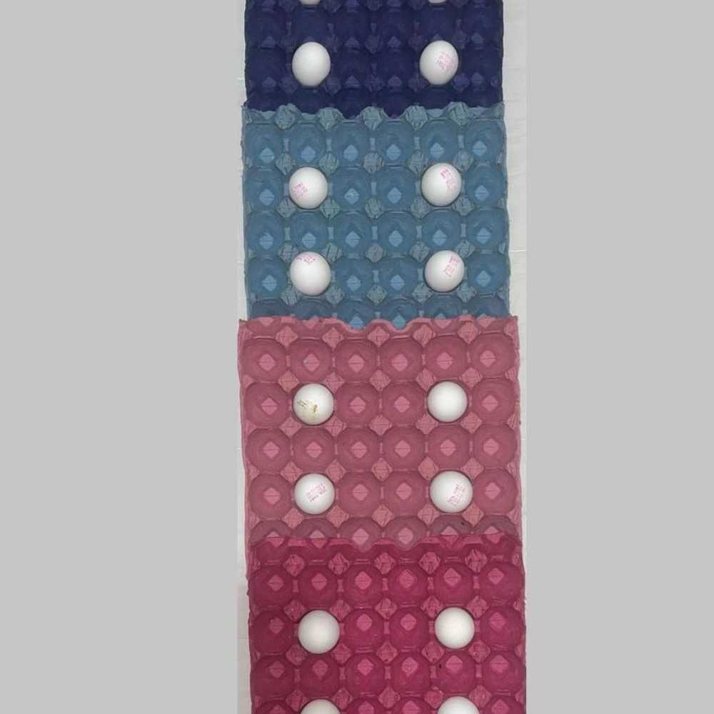 1745658231341.webp 1745658231341.webp